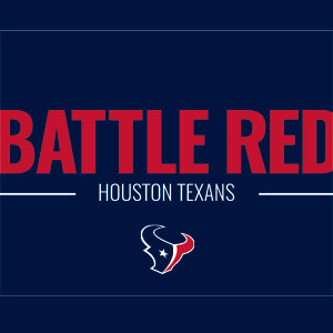 NFL Houston Texans Team Motto Wii (Includes 1 Controller) Skin